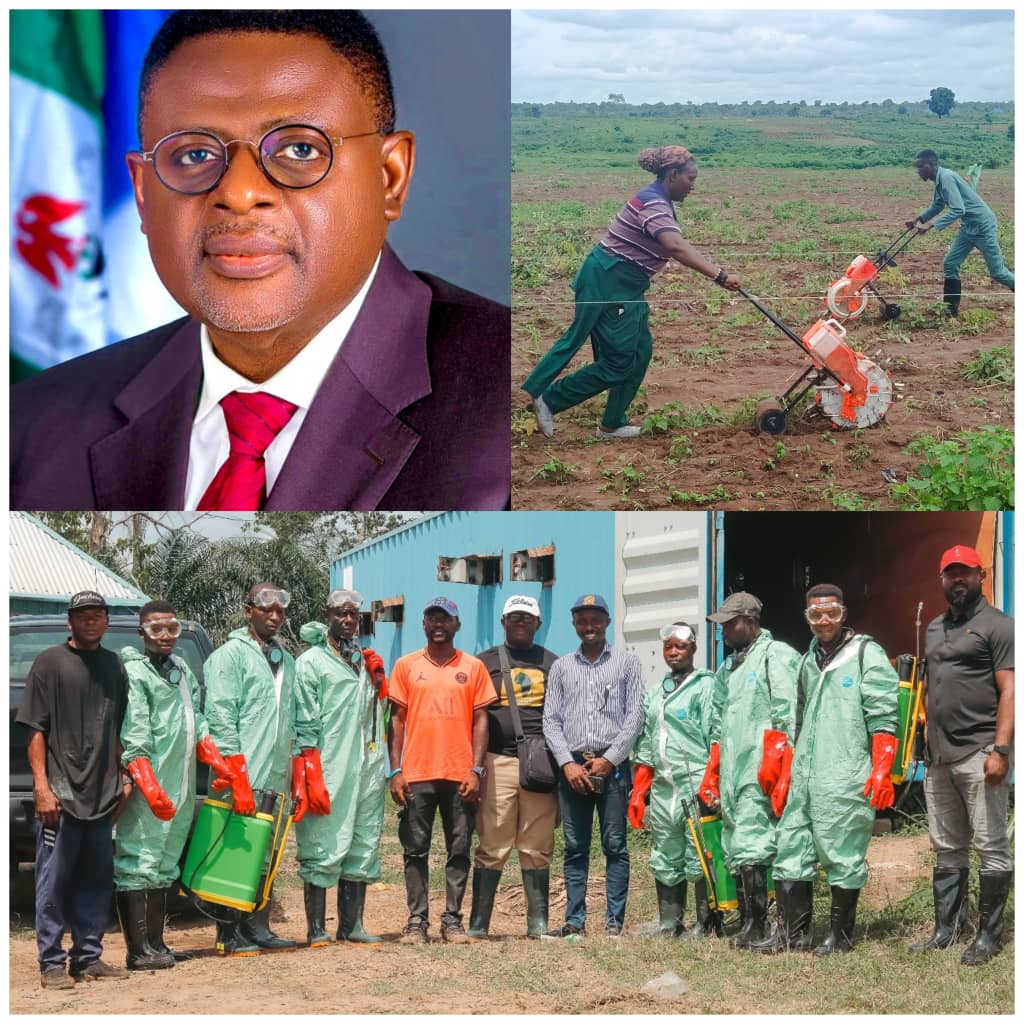 Project Grow field engagement and agricultural operations in Cross River State